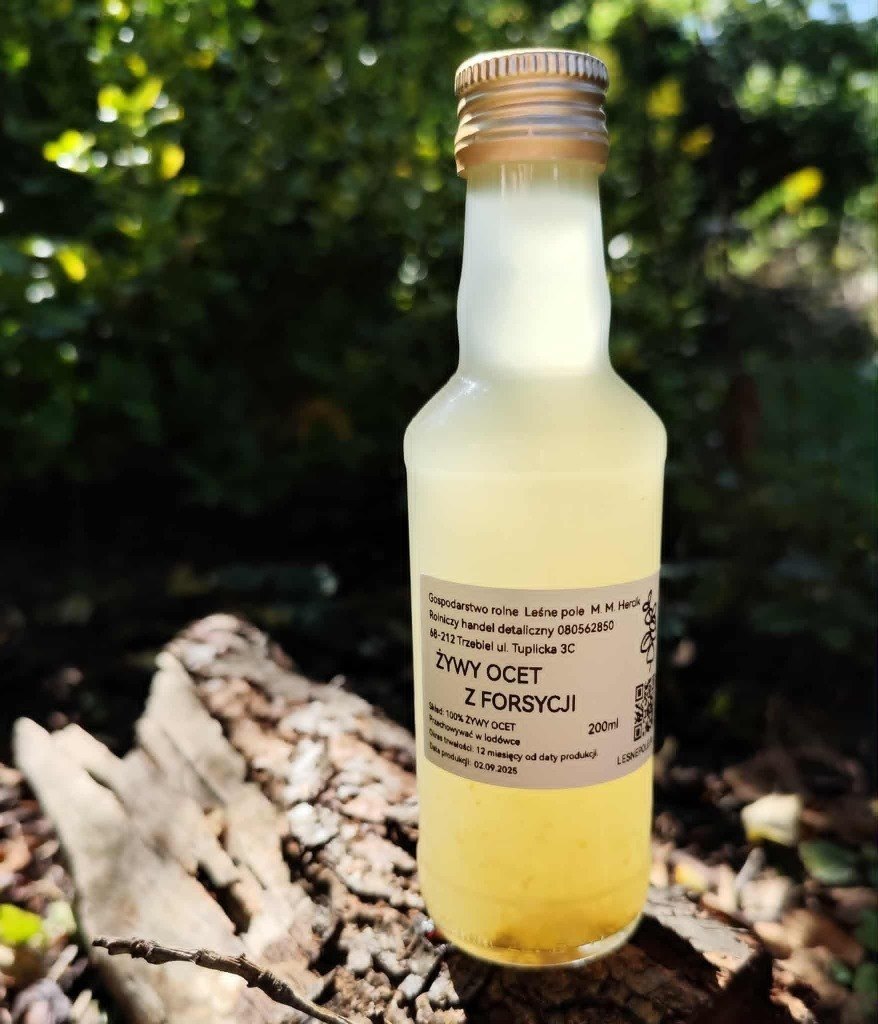 Żywy ocet z kwiatostanu forsycji 200 ml