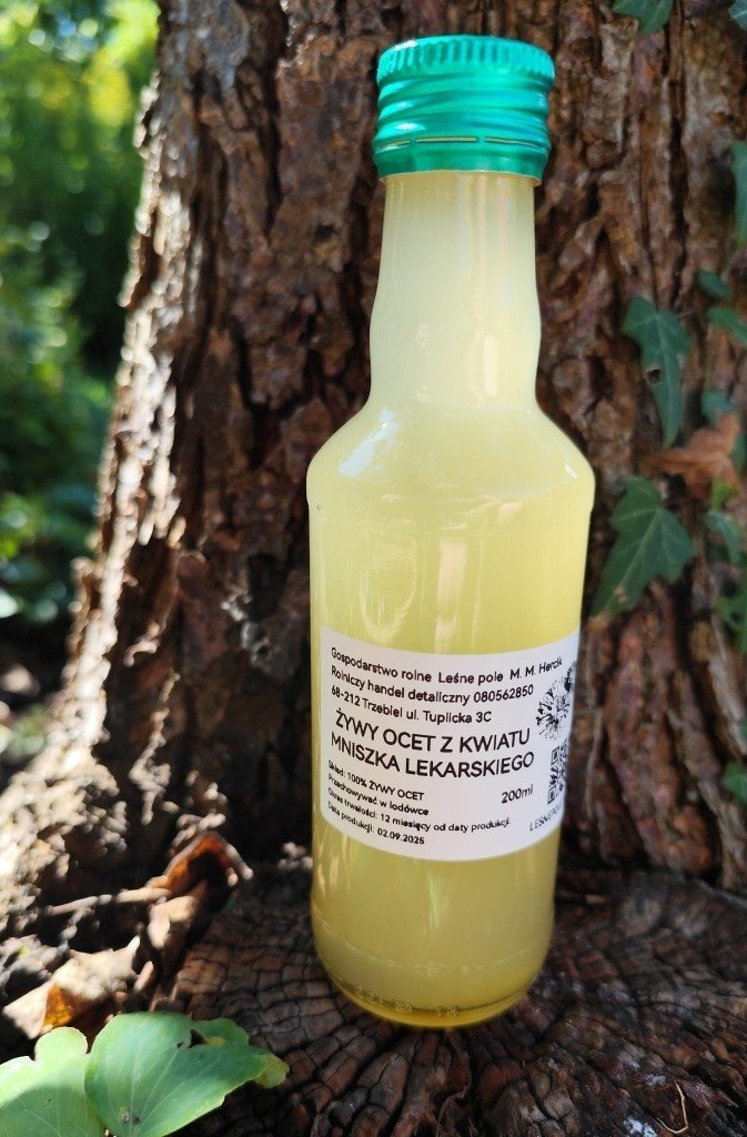 Żywy ocet z kwiatostanu mniszka lekarskiego 200 ml